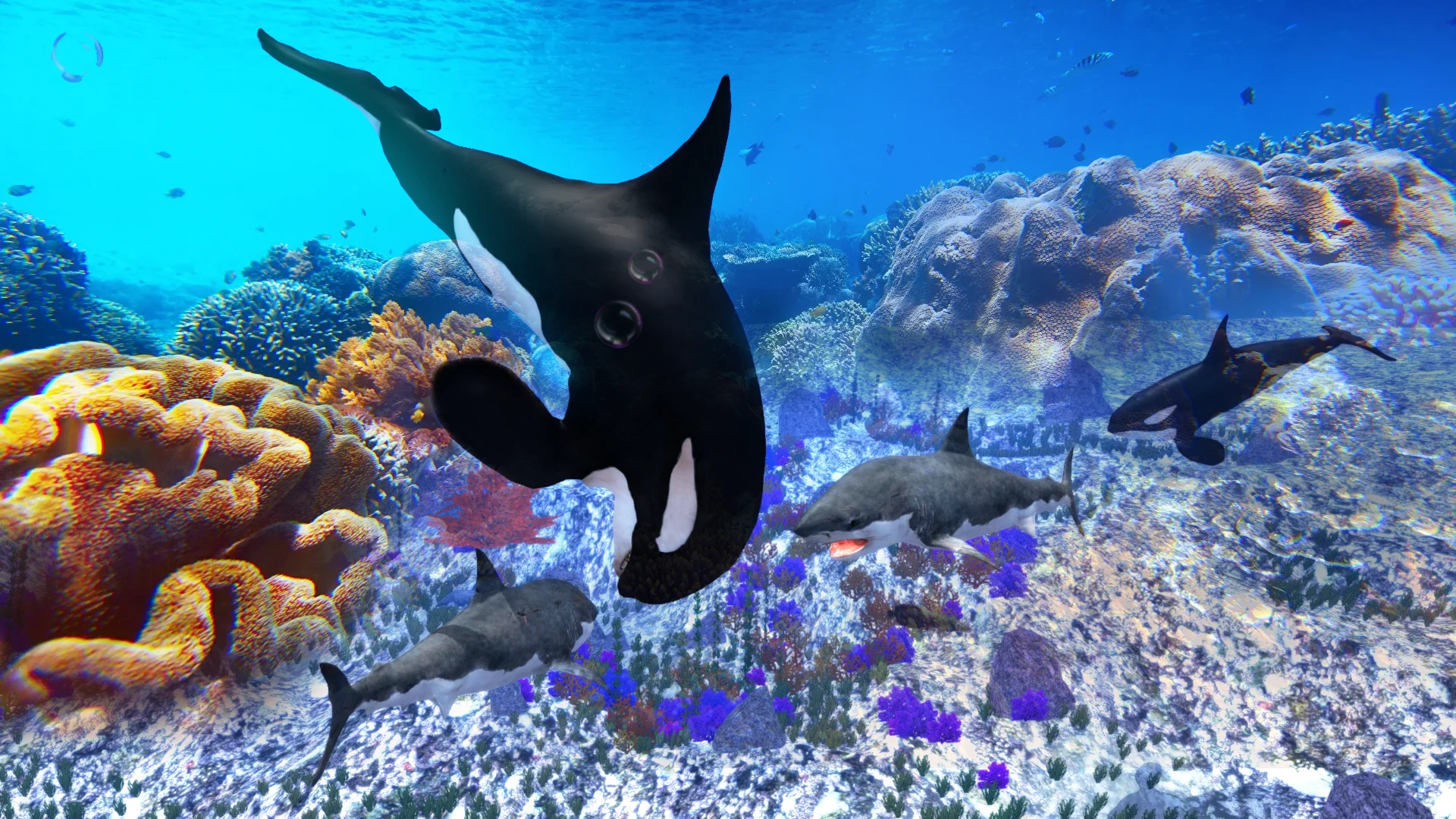 The Killer Whale screenshot