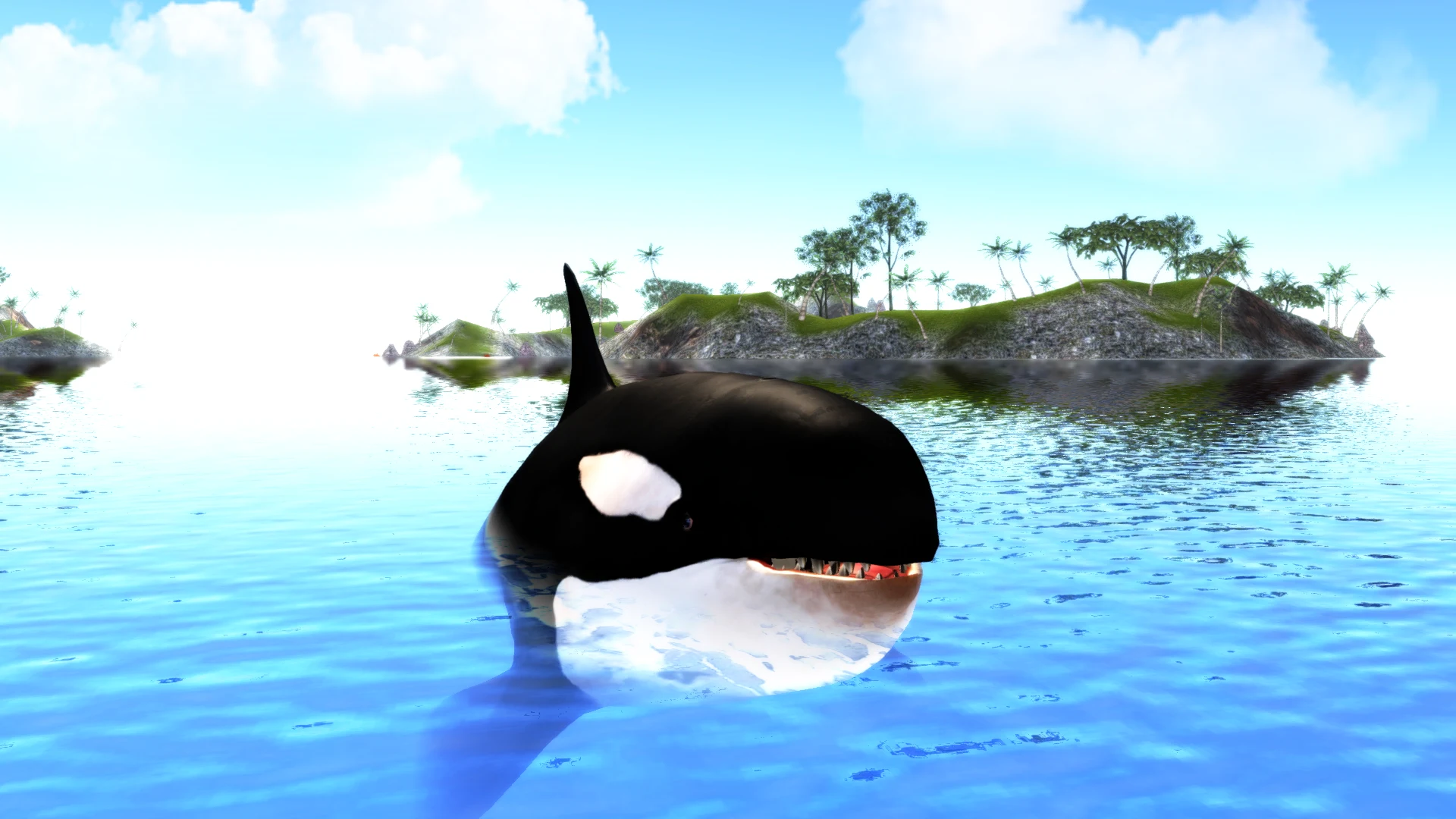 The Killer Whale screenshot