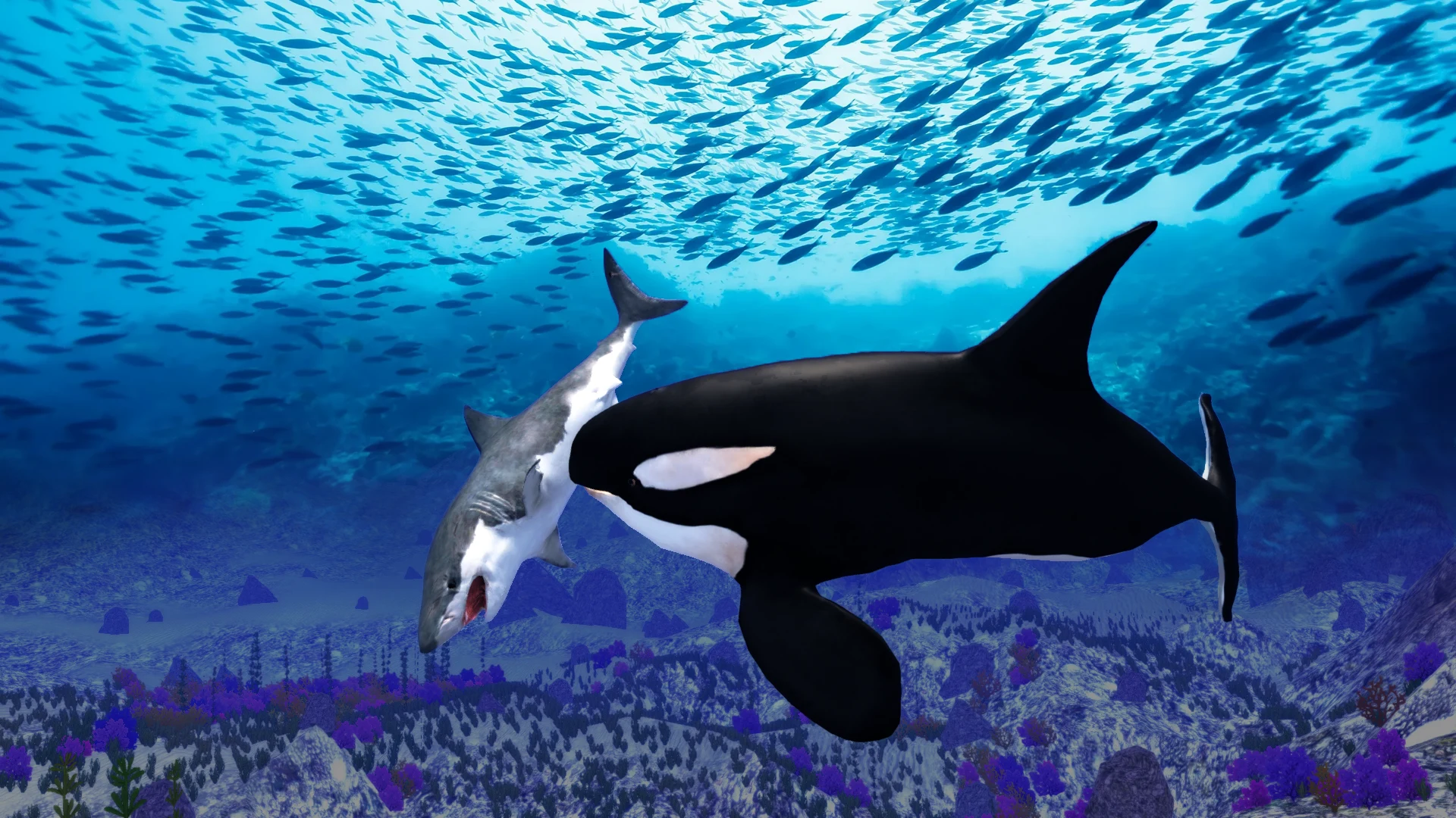 The Killer Whale screenshot