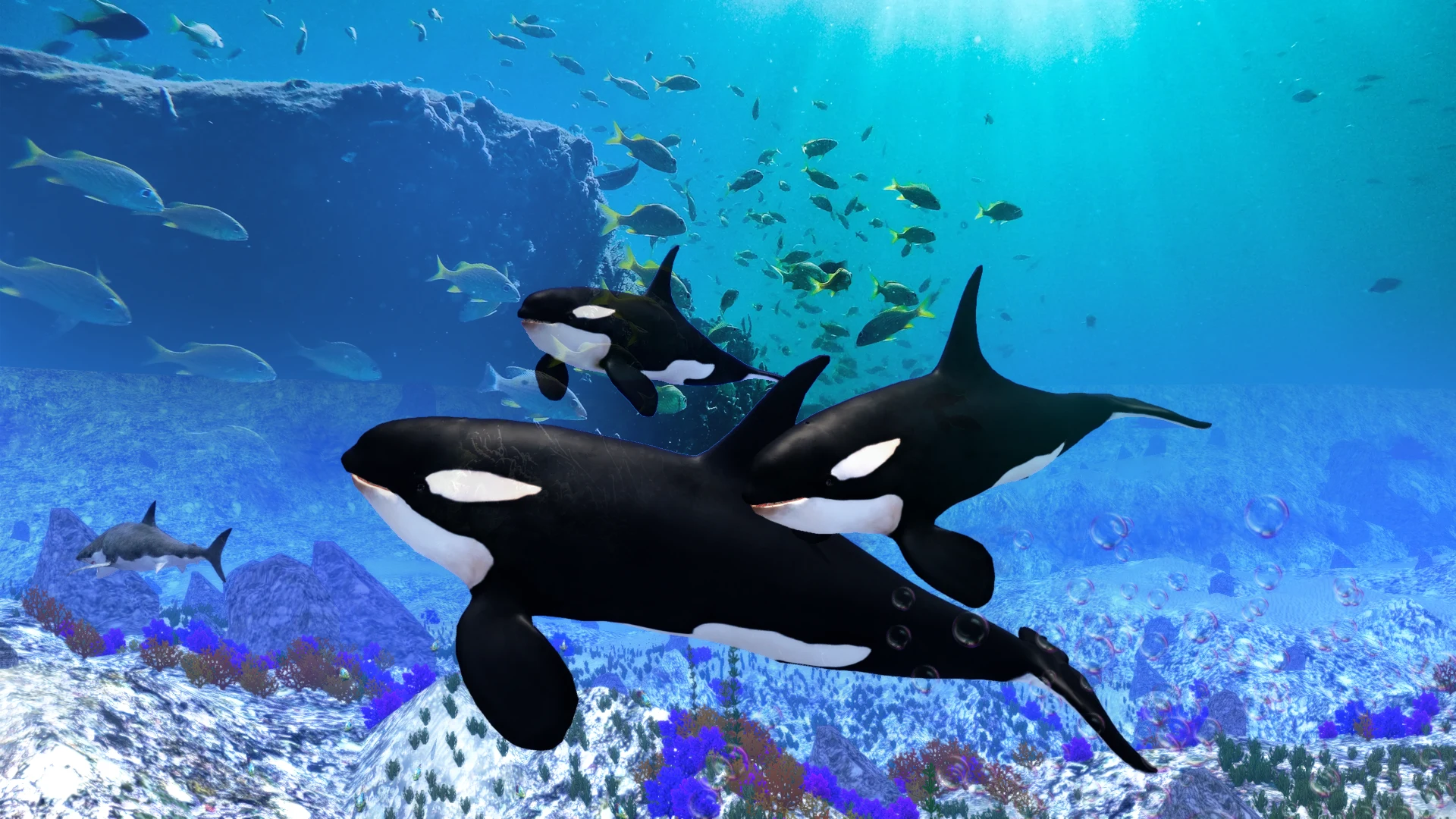 The Killer Whale screenshot