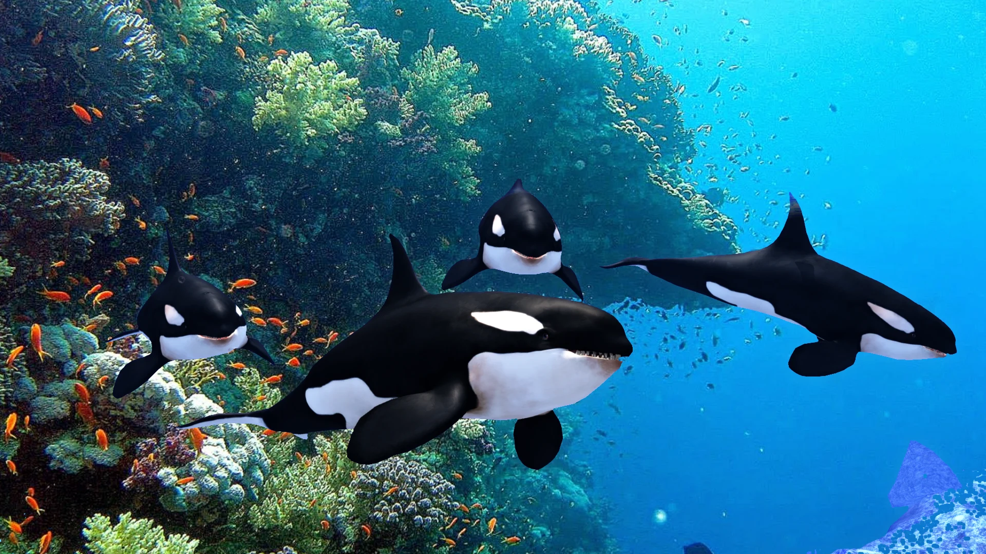The Killer Whale screenshot